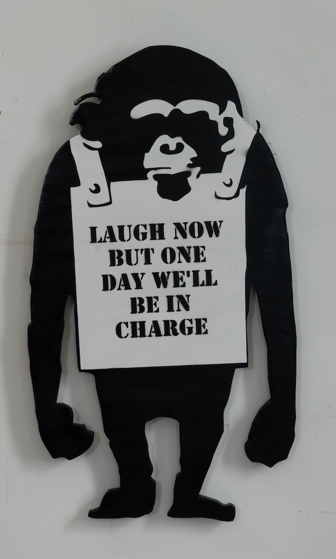 Laugh Now Chimp